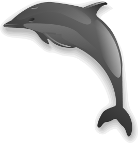 Dolphin