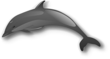 Dolphin