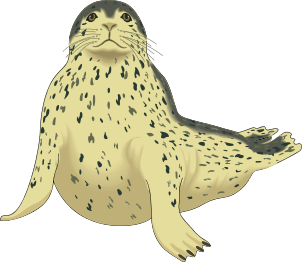 Leopard Seal