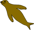 Sea Lion