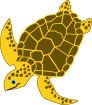 Sea Turtle