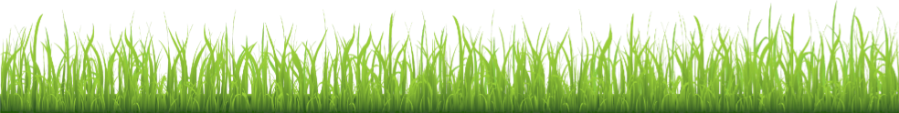 grass6.png