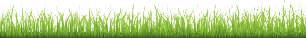 grass6.png