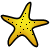 ss8_starfish2
